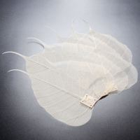 菩提叶茶漏树叶茶滤创意滤茶网茶叶过滤器功夫茶具配件茶隔滤茶器|菩提树叶十片装