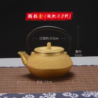 粒子铸铁壶手工无涂层烧水壶功夫茶具南部老铁壶泡茶生铁壶配滤网|0.3升颗粒金带滤网