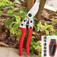 专业大号果农剪刀粗枝剪省力修果树盆栽花枝采摘水果剪苹果树剪子|SK5红色款+送弹簧+油+布剪套