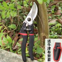 专业大号果农剪刀粗枝剪省力修果树盆栽花枝采摘水果剪苹果树剪子|专业款强力粗枝剪+剪套(牛津布)