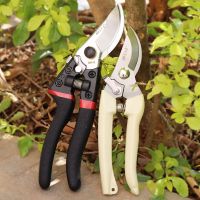 专业大号果农剪刀粗枝剪省力修果树盆栽花枝采摘水果剪苹果树剪子|专业款强力粗枝剪+盆栽家用剪