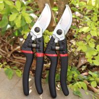 专业大号果农剪刀粗枝剪省力修果树盆栽花枝采摘水果剪苹果树剪子|专业款强力粗枝剪2把装