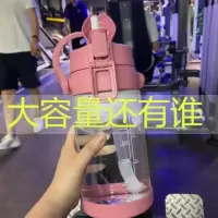 塑料水杯女大容量吸管水壶学生ins韩版防摔大号杯子超大塑料杯