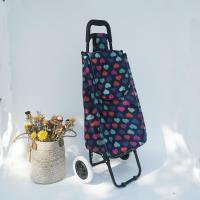 小拉车家用折叠爬楼两轮拉杆车超市便携老年人手推车|发泡轮