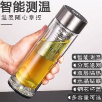 高档双层玻璃杯男女士办公泡茶杯子茶水分离家用喝水智能测温车载