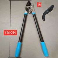 修剪树枝大剪刀粗枝剪大力剪苗木剪刀桑树剪省力树剪子伸缩果树剪|101铁管(不可伸缩)+备用刀片