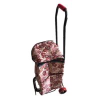 学生开学季行李车小拉车折叠便携家用手拉车不锈钢电镀音响|中款喷黑漆款+购物袋