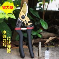 果树园林修剪树枝剪家用花枝摘果剪sk5钢刀头果农大剪刀强力工具|S升级短嘴省力金黑款粗枝剪
