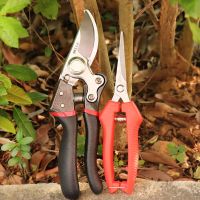 果树园林修剪树枝剪家用花枝摘果剪sk5钢刀头果农大剪刀强力工具|S红黑大号粗枝剪果农剪+红中号果子剪