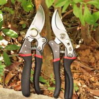 果树园林修剪树枝剪家用花枝摘果剪sk5钢刀头果农大剪刀强力工具|S红黑大号粗枝剪果农剪2把装