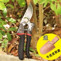 果树园林修剪树枝剪家用花枝摘果剪sk5钢刀头果农大剪刀强力工具|S红黑大号粗枝剪果农剪+优质皮套