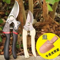 果树园林修剪树枝剪家用花枝摘果剪sk5钢刀头果农大剪刀强力工具|Sk5钢大号粗枝剪+02盆栽剪+皮套