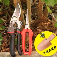 果树园林修剪树枝剪家用花枝摘果剪sk5钢刀头果农大剪刀强力工具|Sk5钢果农粗枝剪+果苗剪+皮套