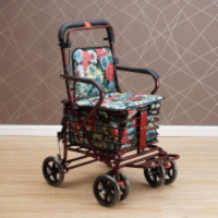 老年老人手推车可坐折叠车购物爬楼买菜助行代步车|大后背大轮红