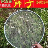 园艺筛土筛子石子沙子筛网过滤筛工业用铁漏网筛不锈钢筛子分样筛|直径52.5cm(孔直径3mm)