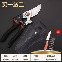 园林粗枝剪强力果树剪刀修树枝剪刀园林园艺剪刀苹果树枝剪子枝剪|黑色[国际版]+剪套+礼品