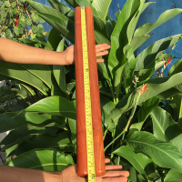 红木擀面杖实木家用大号缅甸花梨木果紫檀烘焙工具赶面条车载防身|60厘米缅甸花梨木细擀面杖直径3~3.5厘米左