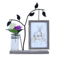 清新6寸水培摆件创意相框摆台小ins连体照片北欧相架铁艺组合双面|深咖色 仙人掌水培框