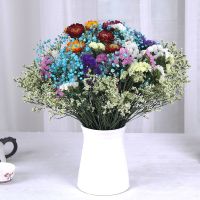 天然干花真花勿忘我小雏菊干花花束家居装饰客厅卧室摆设件|四色勿忘+黄水晶+蓝色+雏菊 木有花瓶(只有花)