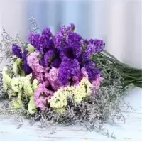 云南鲜花混搭勿忘我干花花束天然干花家居干花真花插花摆件|紫粉黄十情人草2斤装(45cm)