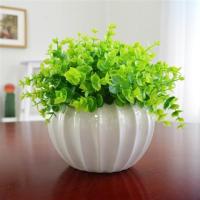 假花塑料假摆设件书桌迷你装饰家居客厅仿真绿植小盆栽景植物米兰|4号米兰+白瓷盆