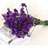 云南干花花束勿忘我网红鲜花真花花束插花客厅装饰家居摆设|紫勿[单色] 40支+白色花篮