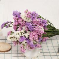 云南干花花束勿忘我网红鲜花真花花束插花客厅装饰家居摆设|浅紫粉色白勿 45厘米[60支]送2个瓶