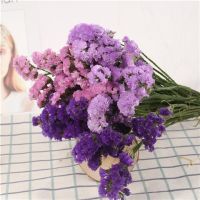 云南干花花束勿忘我网红鲜花真花花束插花客厅装饰家居摆设|深紫+浅紫+粉勿 45厘米[60支]送2个瓶