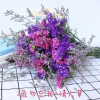 云南干花花束勿忘我网红鲜花真花花束插花客厅装饰家居摆设|紫+玫+情人草 40支+白色花篮