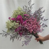 云南干花花束勿忘我网红鲜花真花花束插花客厅装饰家居摆设|玫红勿+黄粉水晶+[情人草] 40厘米[20支]不送瓶