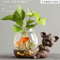 猪摆件紫砂装饰品迷你家居绿萝小花瓶茶宠陶瓷禅意水培养玻璃摆件|[可养鱼]猪系列-福猪右