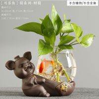 猪摆件紫砂装饰品迷你家居绿萝小花瓶茶宠陶瓷禅意水培养玻璃摆件|[可养鱼]猪系列-福财猪