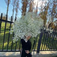 优质天然干花花束网红生日大装饰摆件风干真插花家居摆设|白色佳人 半斤修剪+陶瓷瓶