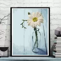 数字油画油彩画客厅花卉简单手绘数码填色装饰画阳光向日葵|065-白色向日葵 50*65送外框(颜色备注)+支架