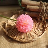 6支绣球花假花仿真绢花卉客厅电视柜摆件花艺装饰桌面装饰花套装A6|香槟色 6支