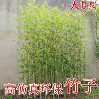 假竹子仿真竹子装饰室内外隔断屏风客厅造景植物竹子橱窗玄关绿植J6|一米五高仿真竹子一根(满十根)