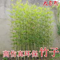 假竹子仿真竹子装饰室内外隔断屏风客厅造景植物竹子橱窗玄关绿植J6|一米五高仿真竹子一根(满十根)