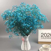 云南多色天然干花花束网红生日大装饰花瓶勿客厅摆设E2|蓝 半斤