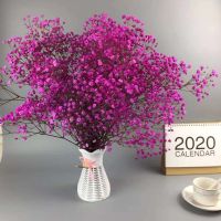 云南多色天然干花花束网红生日大装饰花瓶勿客厅摆设E2|玖红 半斤+花篮