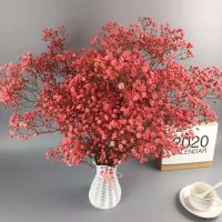 云南多色天然干花花束网红生日大装饰花瓶勿客厅摆设E2|玫红 小束