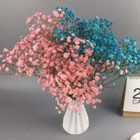 云南多色天然干花花束网红生日大装饰花瓶勿客厅摆设E2|蓝+粉 迷你中国风(20cm以内)