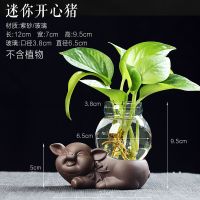 水培玻璃透明花瓶猪摆件绿植摆件陶瓷创意家居办公室可爱装饰品B8|迷你开心猪(玻璃4cm)