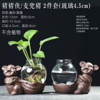 水培玻璃透明花瓶猪摆件绿植摆件陶瓷创意家居办公室可爱装饰品B8|[特价2件套]猪猪侠/麦兜猪