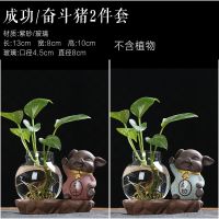 水培玻璃透明花瓶猪摆件绿植摆件陶瓷创意家居办公室可爱装饰品B8|[特价2件套]成功猪/奋斗猪