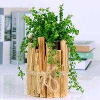 北欧简约透明玻璃插花瓶创意水培器皿客厅大朵多肉内植物摆件花盆P7|款式四:原木花器+玻璃花瓶+百万心