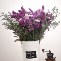 云南干花勿忘我花束真花客厅插花家居摆设鲜花装饰混搭V8|玫红+粉红+白勿+情人草 含花桶