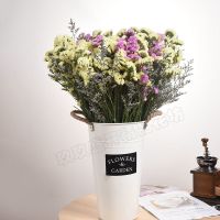 云南干花勿忘我花束真花客厅插花家居摆设鲜花装饰混搭V8|粉红+黄勿+情人草 含花桶