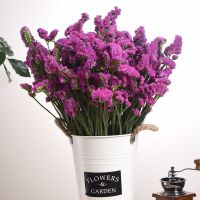 云南干花勿忘我花束真花客厅插花家居摆设鲜花装饰混搭V8|玫红勿忘我 含花桶