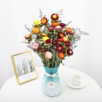 天然干花真花风干ins网红花装饰摆件文艺插花摆设北欧装饰N6|菠萝菊25个花朵带蓝色花瓶送情人草