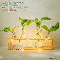 北欧绿萝水培植物玻璃花瓶小清新客厅餐桌插花摆件办公室桌面装饰|HOME五孔花瓶-带灯